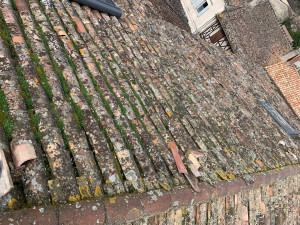 Photo de galerie - Couverture - Toiture