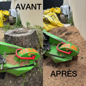 Photo de galerie - Paysagiste - Aménagement du jardin