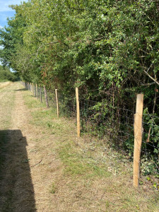 Photo de galerie - Bonjour je propose mes services pour pose de clôture grillagée 