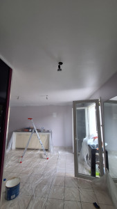 Photo de galerie - Peinture plafond