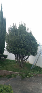 Photo de galerie - Jardinier