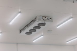 Photo de galerie - Installation d'un labo réfrigérée dans un entrepôt
