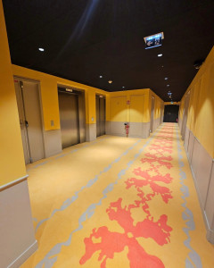 Photo de galerie - Coulor