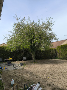 Photo de galerie - Préparation de sol pour semis de gazon 