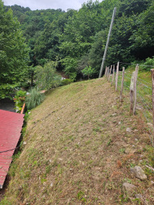 Photo de galerie - Tonte de pelouse - Débroussaillage