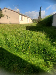 Photo de galerie - Tonte de pelouse - Débroussaillage