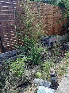 Photo de galerie - Entretien de jardin (Avant)