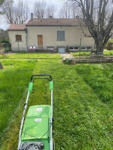 Photo de galerie - En cours de tonte de pelouse