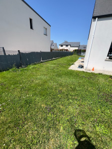 Photo de galerie - Tonte de pelouse - Débroussaillage