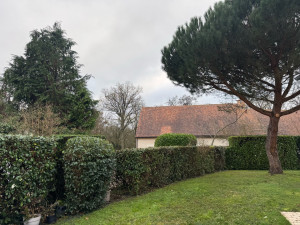 Photo de galerie - Taille de haies et d'arbustes