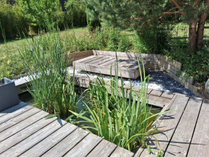 Photo de galerie - Fin des travaux de réaménagement des abords du bassin 