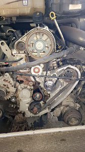 Photo de galerie - Distribution 