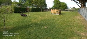 Photo de galerie - Tonte 