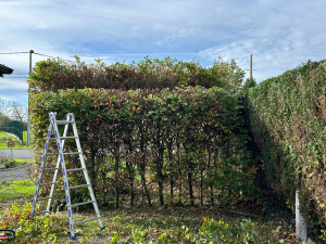 Photo de galerie - Avant 