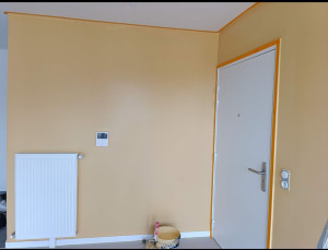 Photo de galerie - Peinture  enduit 