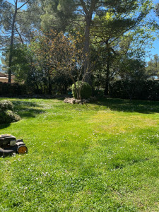 Photo de galerie - Taille tonte désherbage plantation etc.