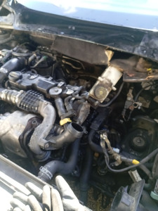 Photo de galerie - A