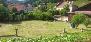 Photo de galerie - Nettoyage d'un terrain laissé a l'abandon 