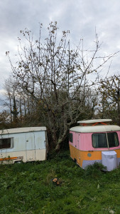 Photo de galerie - élagage d'un chêne mise an sécurité des caravanes du client.