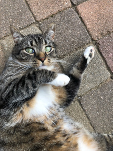 Photo de galerie - Visite à domicile 