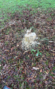 Photo de galerie - Après 