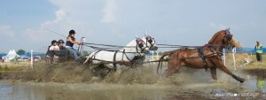 Photo de galerie - La complicité permet de franchir tous les obstacles !