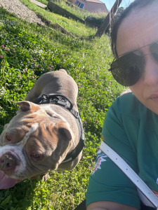 Photo de galerie - Garde animaux