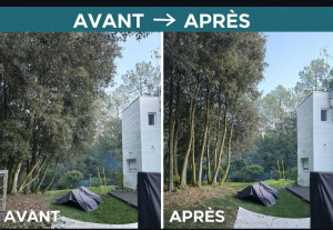 Photo de galerie - Taille arbre