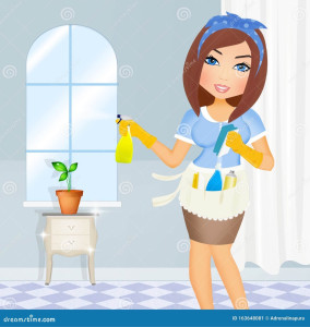 Photo de galerie - Ménage, repassage,