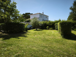 Photo de galerie - Taillage de haie et tonte 