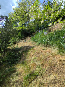 Photo de galerie - Débroussaillage sur une pente glissante.