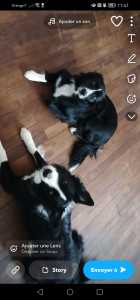 Photo de galerie - Super garde avec c'est loulou 