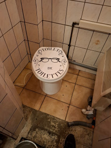 Photo de galerie - Remplacement sani broyeur 