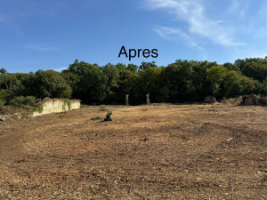 Photo de galerie - Grosse débroussaillage 