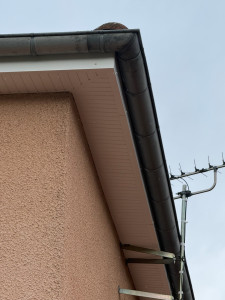 Photo de galerie - Couverture - Toiture