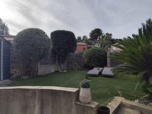 Photo de galerie - Remise en état d'un jardin+ taille paysagère de plusieurs arbustes 