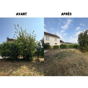 Photo de galerie - Elagage et coupe d'arbres