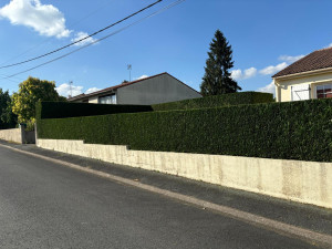 Photo de galerie - Une taille de haie