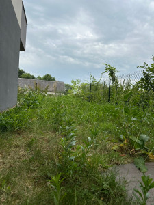 Photo de galerie - Avant / Débrousaillage d’un petit jardin de 40m2