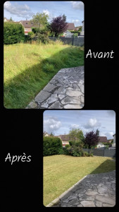 Photo de galerie - Tonte de pelouse - Débroussaillage