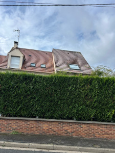 Photo de galerie - Traitement toiture