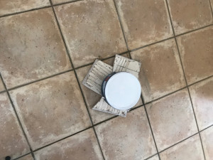 Allovoisins // Gallerie