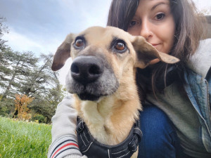 Photo de galerie - Garde chien