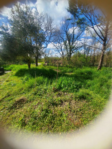 Photo de galerie - Avant