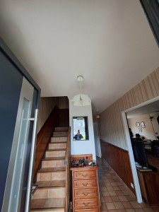 Photo de galerie - Renovation des mur