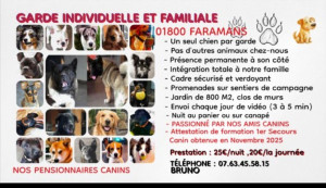 Photo de galerie - Par précaution car ne gardant qu'un chien Merci d'anticiper vos demandes.