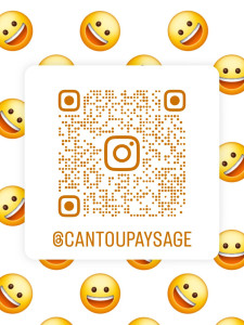 Photo de galerie - Si vous voulez plus de détails regardez sur les réseaux instagram ou Facebook pour plus d'exemple.