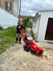 Photo de galerie - Rognage de souche 