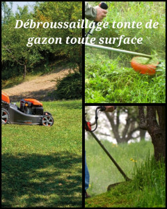 Photo de galerie - Pour plus d’informations, n’hésitez pas à me contacter