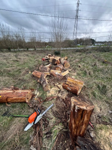 Photo de galerie - Jardinier